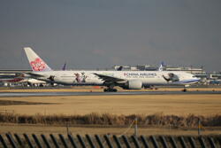 �`���C�i�G�A���C���@�Y�[�g�s�A�Q